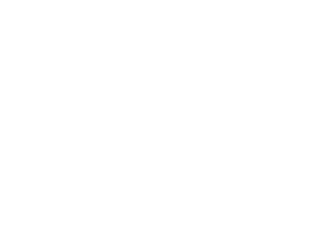 Second Theory Logo